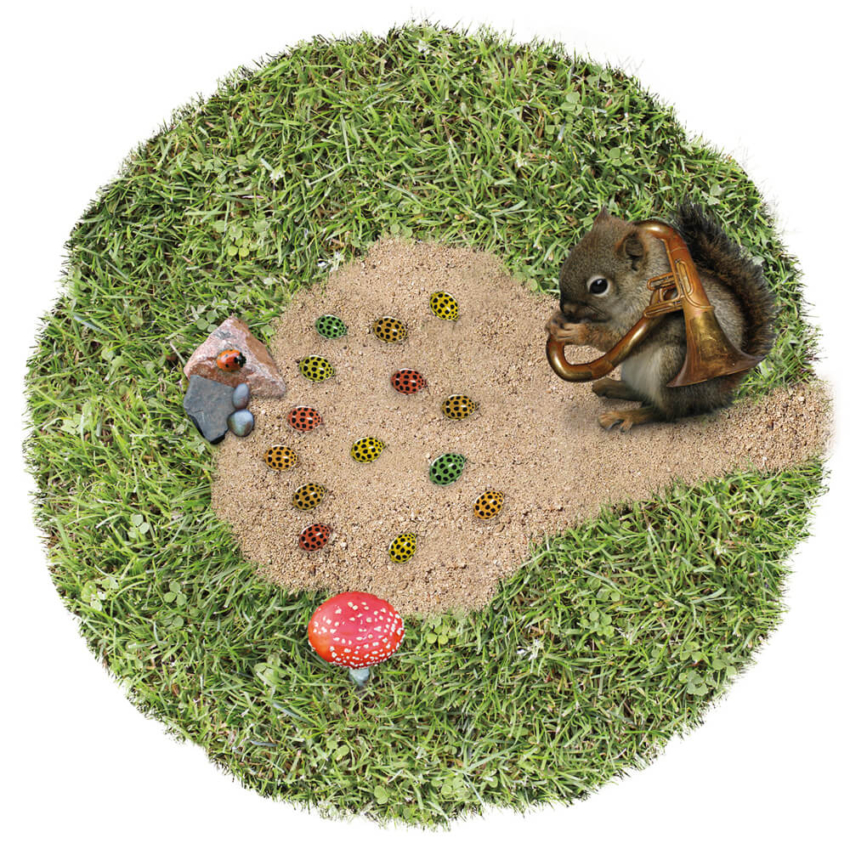 2015 Grasland PieterDeDecker eekhoornblaas web