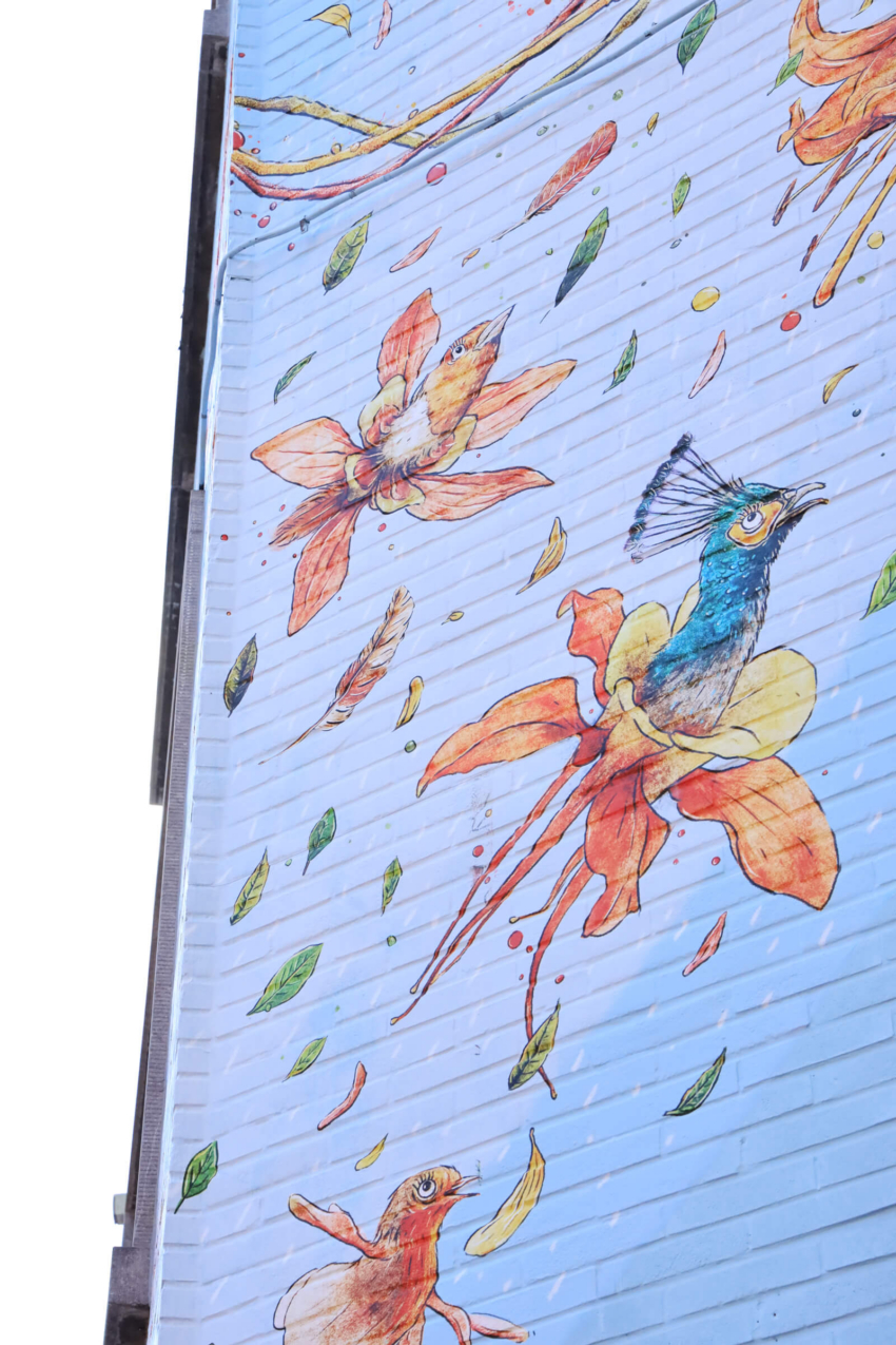 2025.09.10 PieterDeDecker Muurillustratie 5830