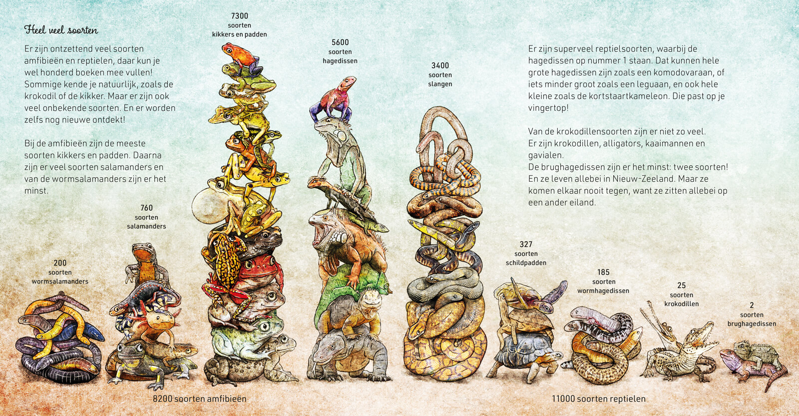 2025.06.11 Willewete AmfibieënReptielen HR 15