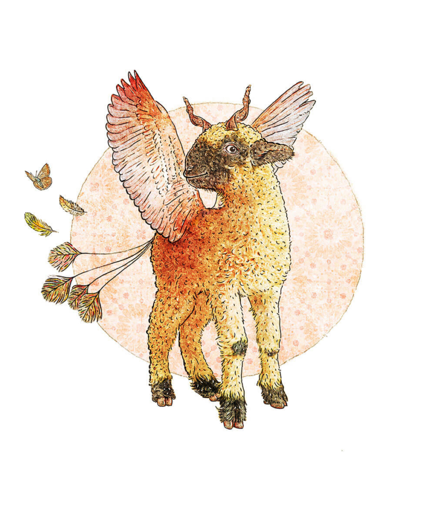 2026.01.20 schaap web 2026.01.20 schaap web
