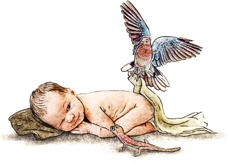 2026 Niemandvraagteenezeliets babyslaapt pieterdedecker web